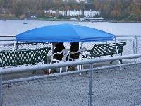 PICT0002 Under cover