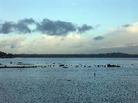 PICT0005 Chilly morning