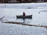 PICT0007 Threading through the mouth of the Cedar River