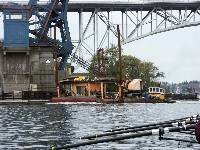 PICT0310 Coming through!