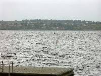 PICT3936 Rowing to the start