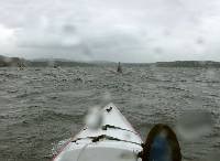 PICT3969 A little wet?