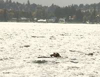 PICT4093 Reboarding by finish line