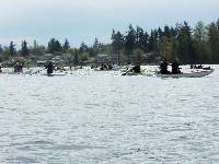 PICT4733 Following field