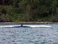 PICT4859 Rocky in the water