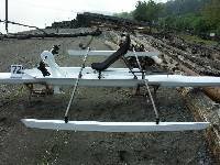 PICT5233 Gazelle at rest