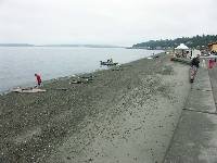 PICT0014 Bare beach, tide departing