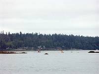 PICT0119 Traci cutting through reef