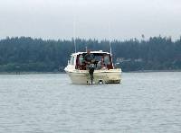 PICT0124 Watchful eyes