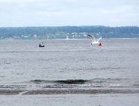 PICT0223 Bird attack!