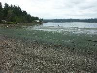 PICT0020 Tide is definitely out!