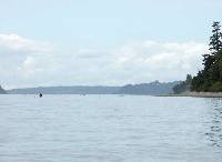 PICT0069 Incoming field