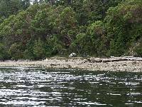 PICT0086 South side camping