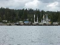 PICT0102 Manchester Navy docks