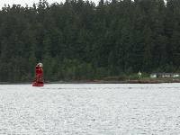 PICT0104 Rich Passage buoy