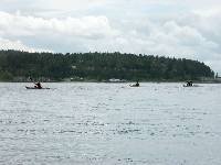 PICT0124 Flotilla nearing the line