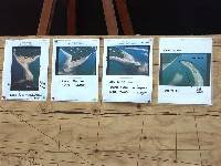 PICT0272 Important points