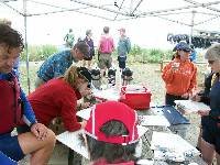 PICT0279 Getting busy