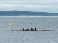 PICT0290 Four arrives