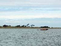 PICT5082 Second 8 still approaching finish