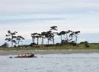 PICT5087 8 crosses the line