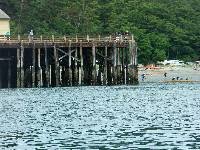 PICT5088 Nearing the finish