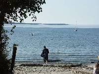 PICT0610 New arrivals