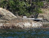 PICT0674 Bird-brained audience