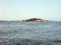 PICT0710 View to the north from NW corner Shaw Island