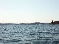 PICT0722 Sailing regatta under way