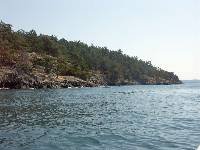 PICT0725 SW side of Shaw