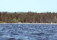 PICT0739 Finish line dead ahead - somewhere