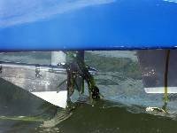 PICT0525 Weed collection